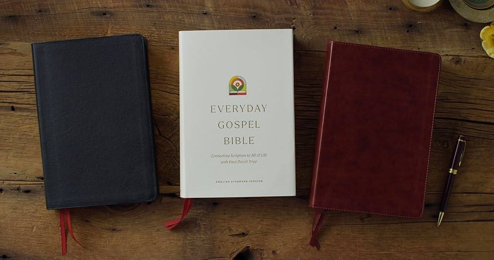 (未使用･未開封品)Bible in Everyday Life/ Bible &amp; Traditions [DVD] TTNOG_Product_DVD-KM20250628 (